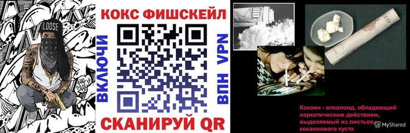 COCAIN FishScale  darknet официальный сайт  Ярославль  закладки 