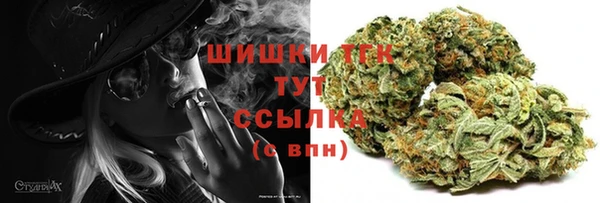сатива Беломорск