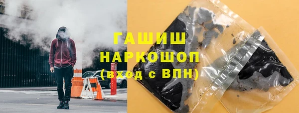 сатива Беломорск