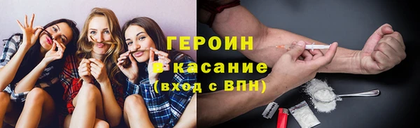 сатива Беломорск
