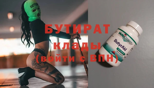 сатива Беломорск