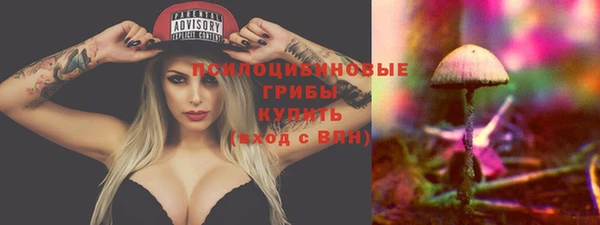 прущая мука Богданович