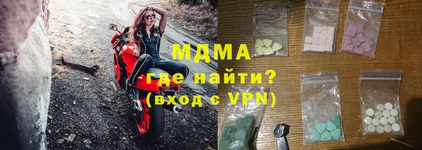 сатива Беломорск